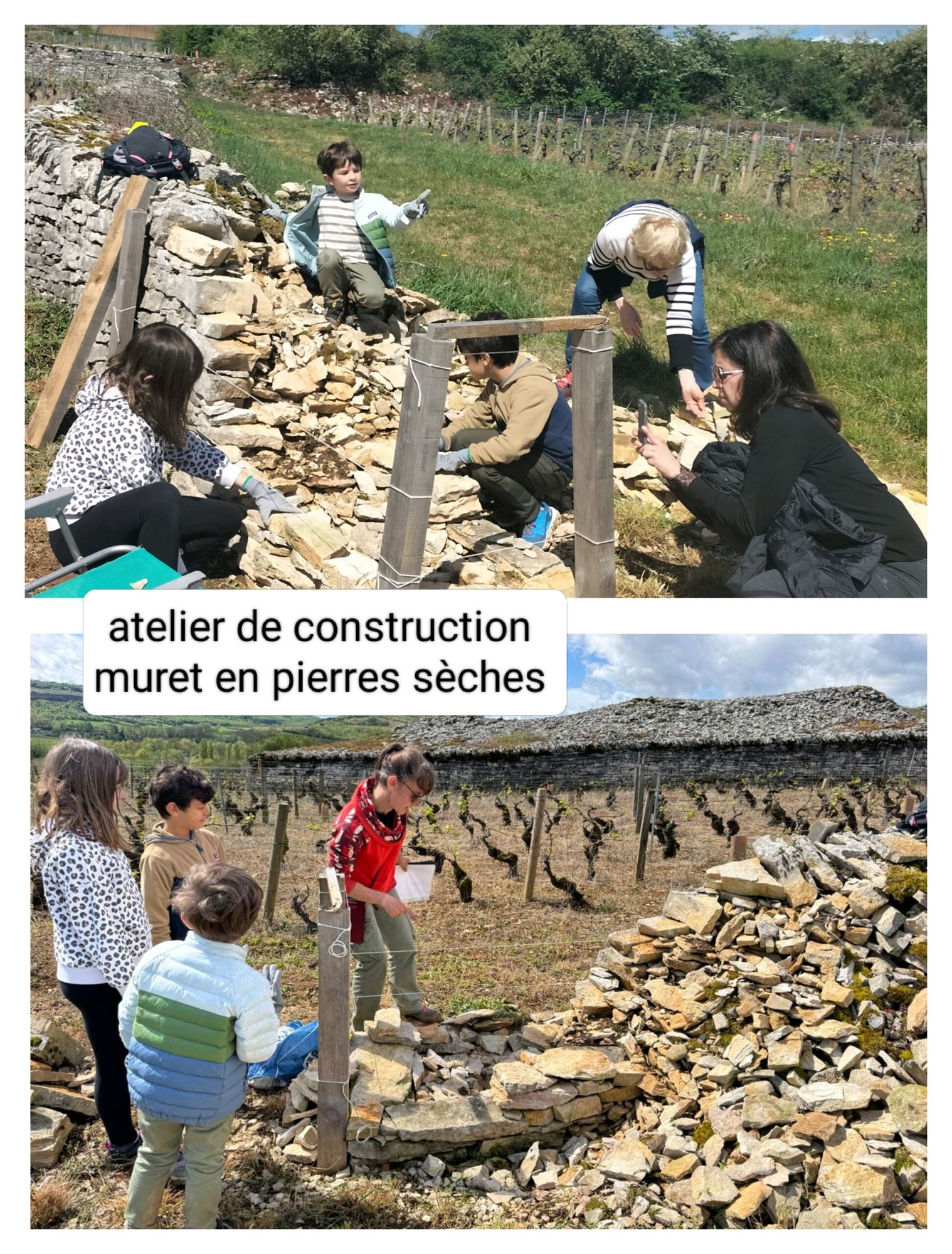 Atelier de construction d'un muret en pierres sèches