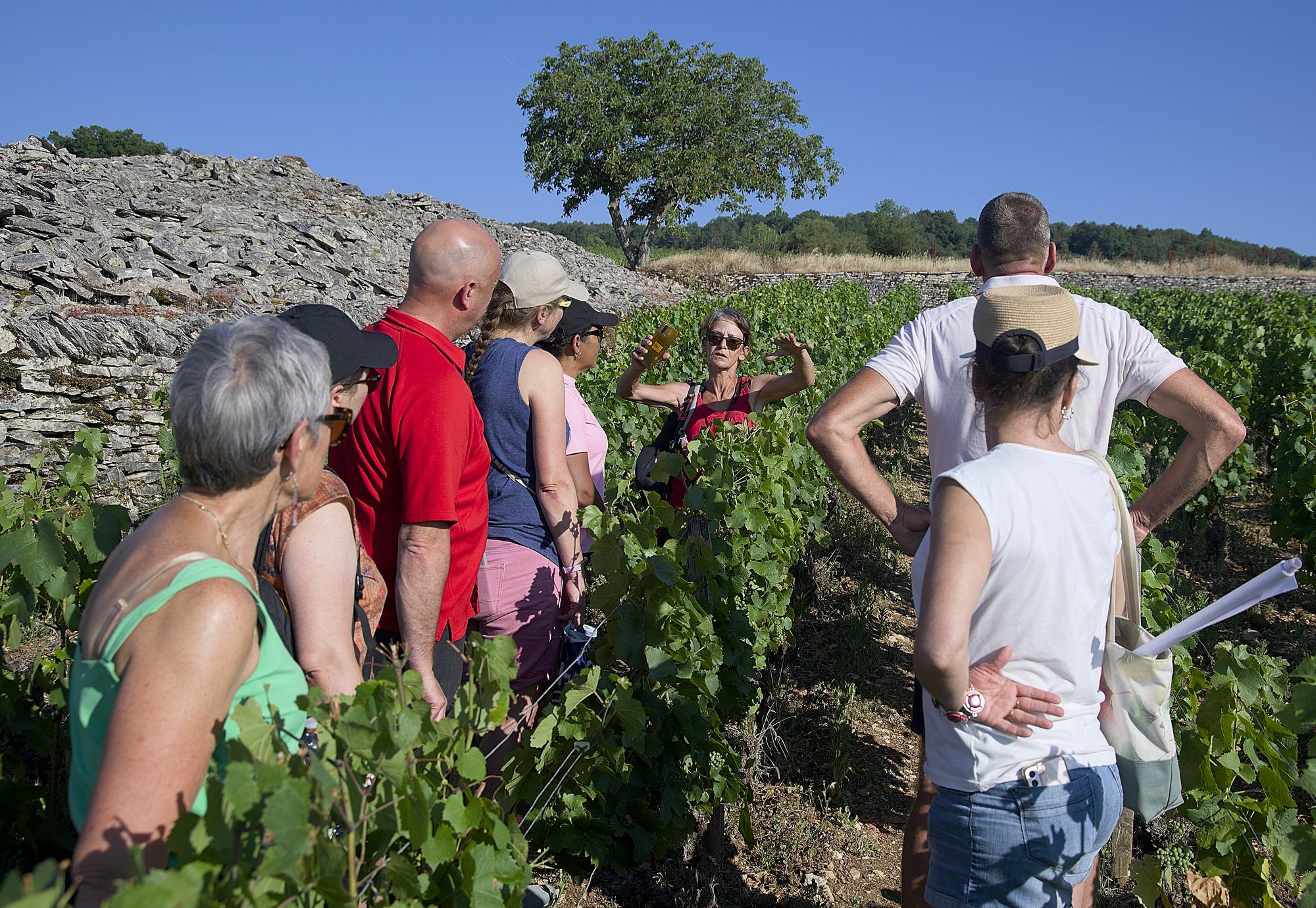 Sur les pas des Climats