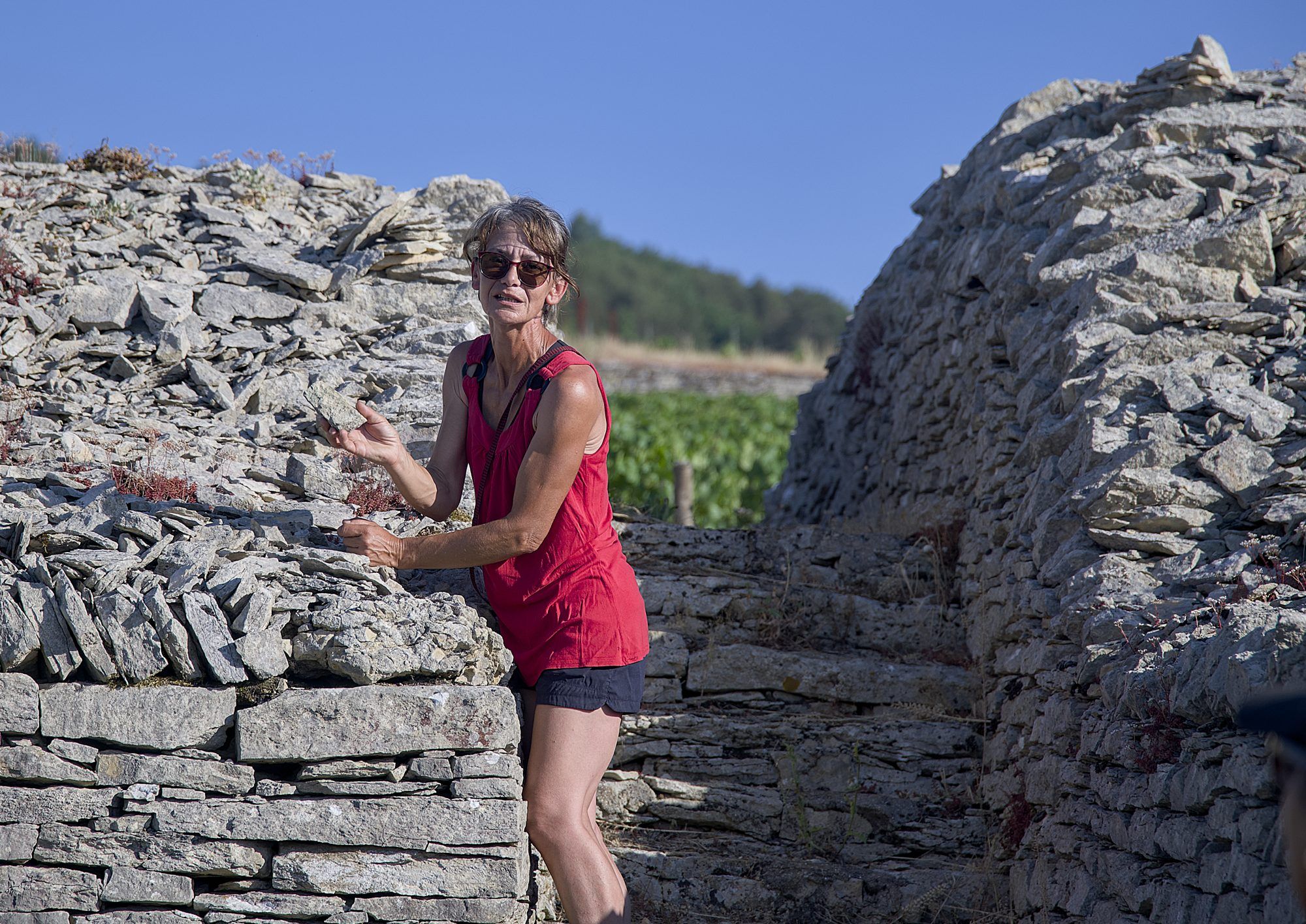 Sur les pas du vigneron, pendant la visite