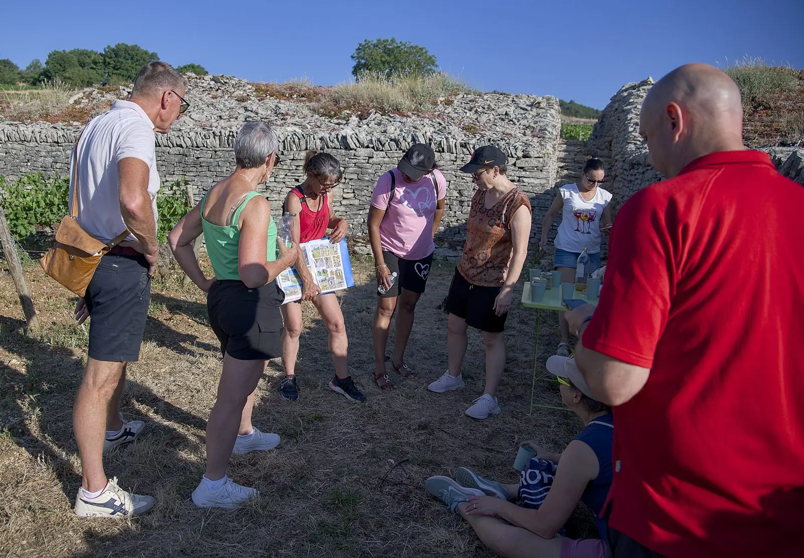 EVJF et EVG dans les vignes de Santenay