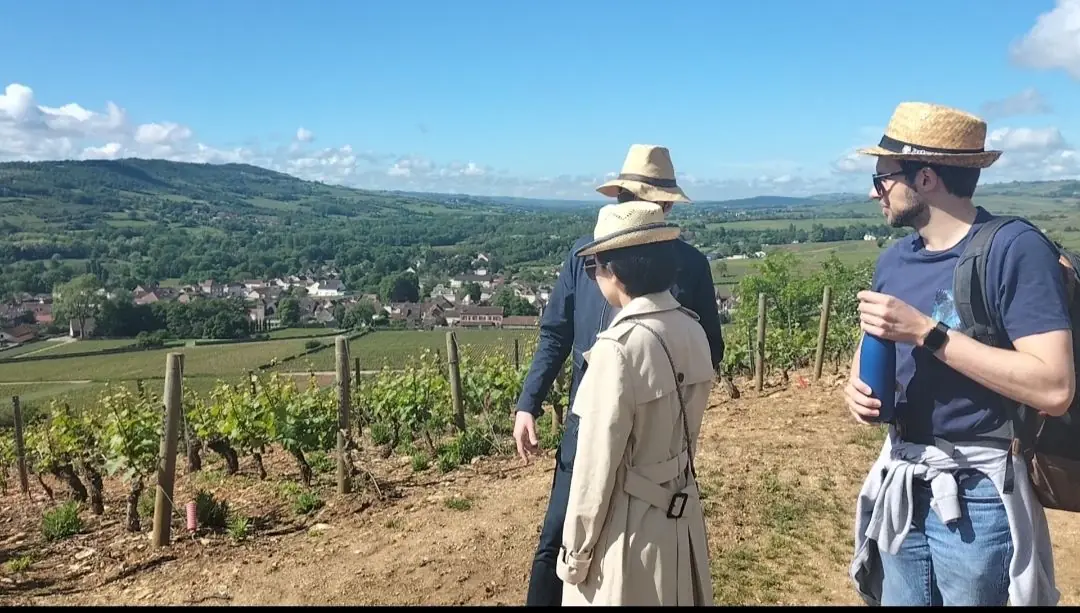 Visitatori che dominano il villaggio di Santenay e il suo vigneto