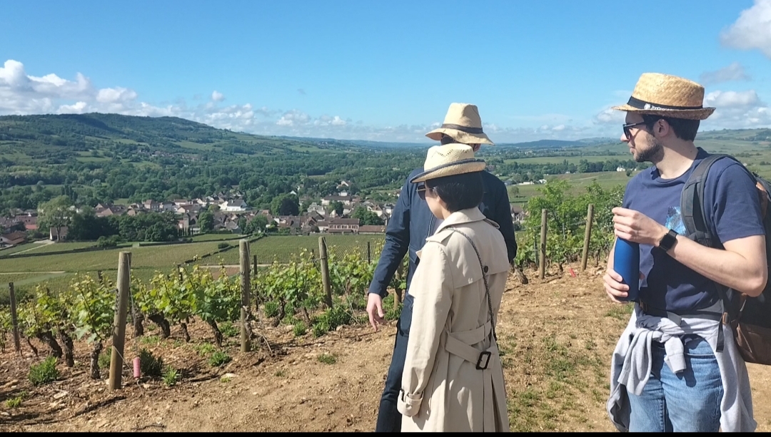 Oplus_0 visite des vignes sur les pas du vigneron