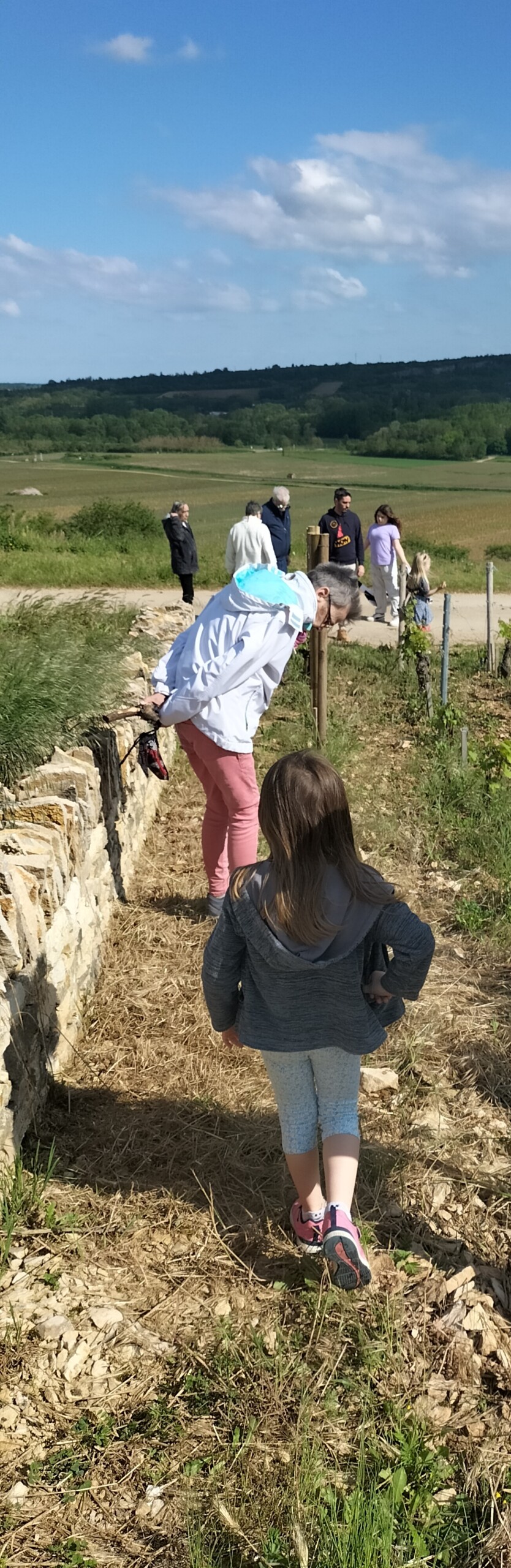 sur les pas du vigneron visite des vignes